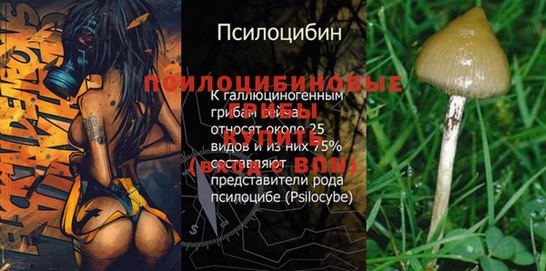 крисы Волоколамск
