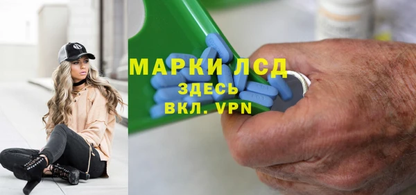 сатива Володарск
