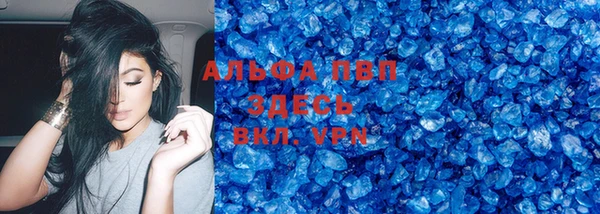 сатива Володарск